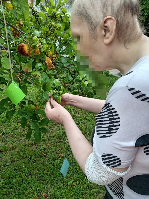 A spasso nel bosco a cercar Igea