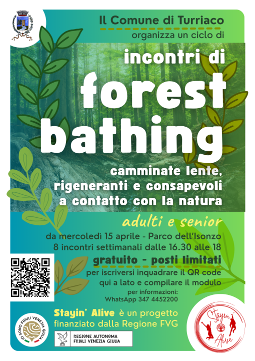 Incontri di Forest Bathing