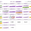 Calendario Casa Viola Dicembre 2025